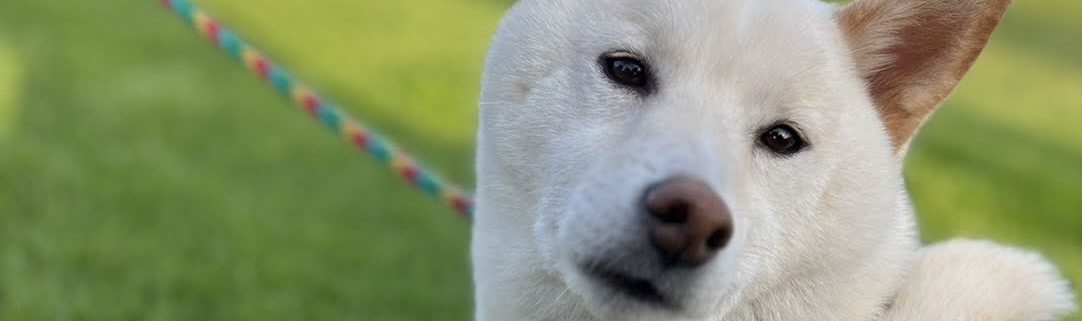 メインビジュアル