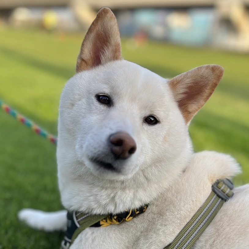 キムラリュウキ